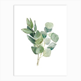 Green Leaf Stems Watercolour Art Print Art Print