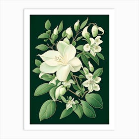 Jasmine Floral 2 Botanical Vintage Poster Flower Art Print