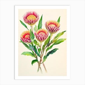 Proteas Vintage Flowers Flower Art Print