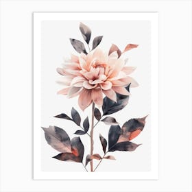 Dahlia Art Print