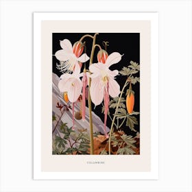 Flower Illustration Columbine 2 Poster Art Print