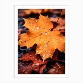 Autumn Leaves after Rain 3 Art Print