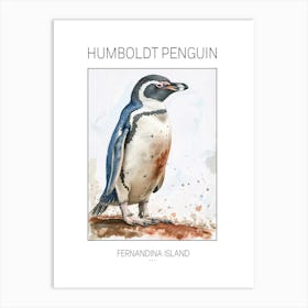 Humboldt Penguin Fernandina Island Watercolour Painting 3 Poster Art Print