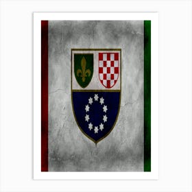 Bosnia And Herze Govina Flag Texture Art Print