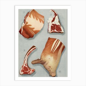 Anatomy Of Meat Art Print