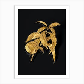 Vintage Peach Botanical in Gold on Black n.0290 Art Print