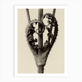 Dipsacus Laciniatus, Karl Blossfeldt Art Print