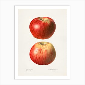 Apple Print 1 Art Print