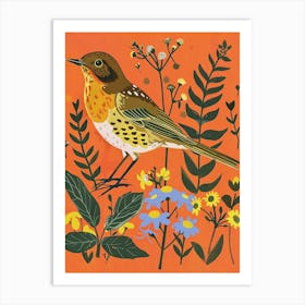 Spring Birds Hermit Thrush 2 Art Print