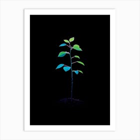 Tree In The Dark 21 Art Print