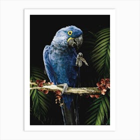 Blue Macaw Parrot Art Print