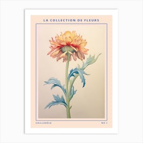 Gaillardia French Flower Botanical Poster Art Print