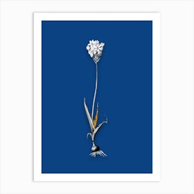 Vintage Chincherinchee Black and White Gold Leaf Floral Art on Midnight Blue n.0761 Art Print