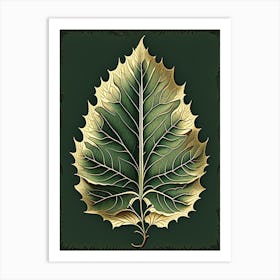Birch Leaf Vintage Botanical 1 Art Print