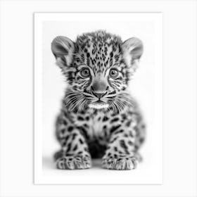 Leopard Cub Art Print