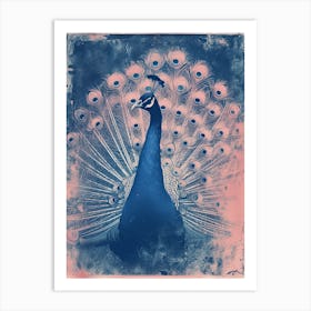 Pink & Blue Peacock Cyanotype Inspired Art Print