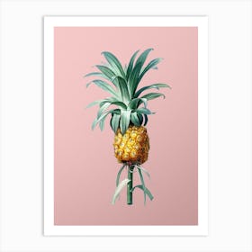 Vintage Pineapple Botanical on Soft Pink n.0918 Art Print
