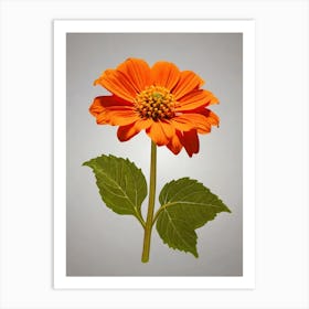 Orange Chrysanthemum Flower Art Print