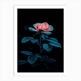 Pink Rose 7 Art Print