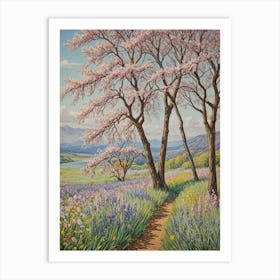 Cherry Blossoms 1 Art Print