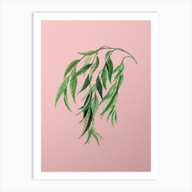 Vintage Babylon Willow Botanical on Soft Pink n.0817 Art Print