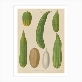 Cucumbers 1 Art Print