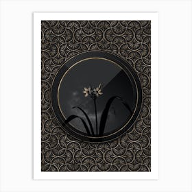 Shadowy Vintage Small Pancratium Botanical in Black and Gold Art Print