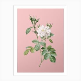 Vintage Autumn Damask Rose Botanical on Soft Pink n.0346 Art Print