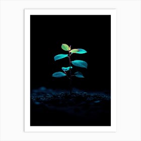 Small Plant In The Dark 6 Art Print