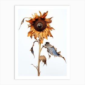 Dead Sunflower 4 Art Print