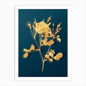 Vintage Anemone Flowered Sweetbriar Rose Botanical in Gold on Teal Blue n.0041 Art Print