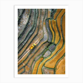 Rice Terraces Art Print