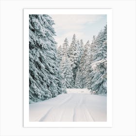 Snowmobile Trail Through Forest Art Print