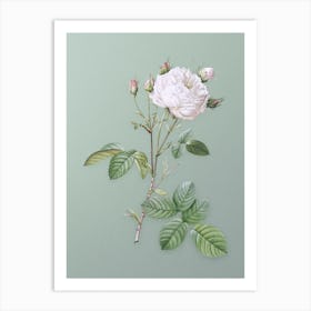 Vintage White Provence Rose Botanical Art on Mint Green n.0143 Art Print