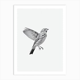 Yellowhammer B&W Pencil Drawing 2 Bird Art Print