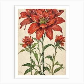 Red Cosmos 1 Art Print