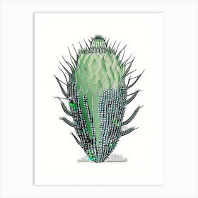 Turk S Head Cactus William Morris Inspired 1 Art Print