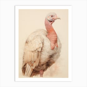 Vintage Bird Drawing Turkey 2 Art Print