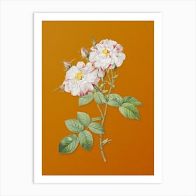 Vintage White Damask Rose Botanical on Sunset Orange n.0048 Art Print