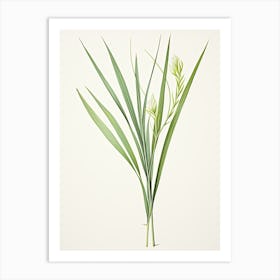 Lemon Grass Vintage Botanical Herbs 3 Art Print