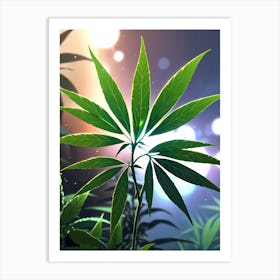 Marijuana Plant Art Print