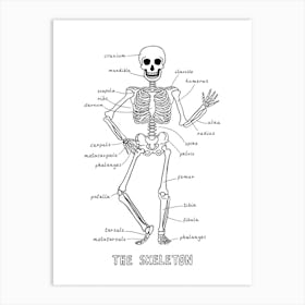 The Skeleton In White Art Print