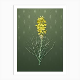 Vintage Yellow Asphodel Botanical on Lunar Green Pattern n.2143 Art Print