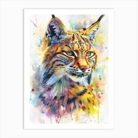 Bobcat Colourful Watercolour 2 Art Print