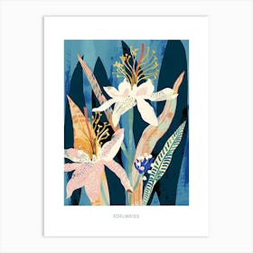 Colourful Flower Illustration Poster Edelweiss 3 Art Print