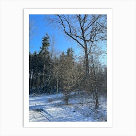 Snowy Woods 2 Art Print