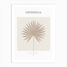 Boho Leaves 1 Copernicia Art Print