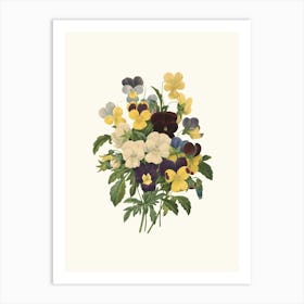 Antique Vintage Flower Illustration - Pansy Art Print