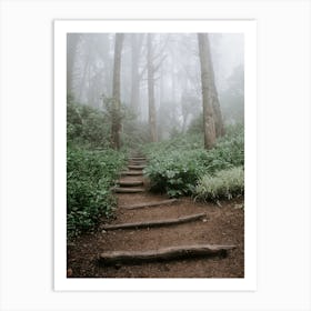 Stairway into a forest in Sintra, Portugal Art Print