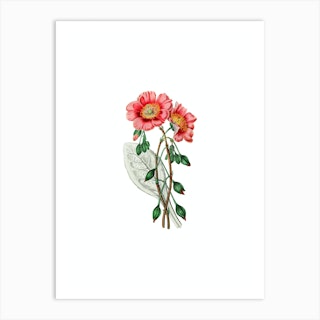 18 Species of colorful flowers Stock Illustration by ©rangreiss #19280337